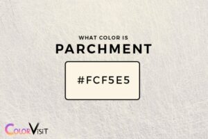 parchment color vs white 1