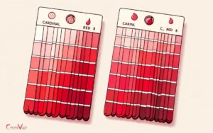 Cardinal Color Vs Red