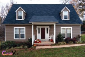 blue roof what color to paint house