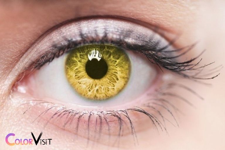 yellow is the color of her eyes lyrics