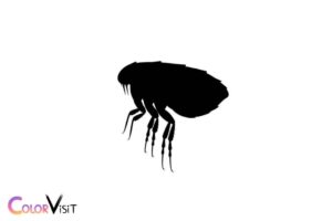 are fleas black in color
