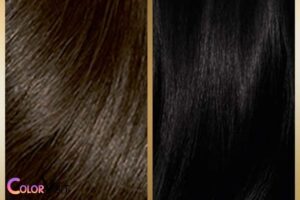 dark brown hair color vs black