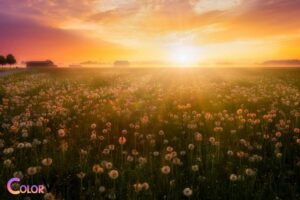 is yellow a spring color