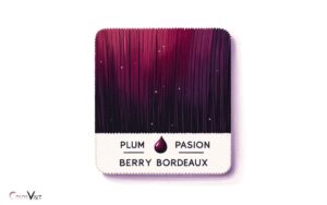 Dark Red Purple Color Name