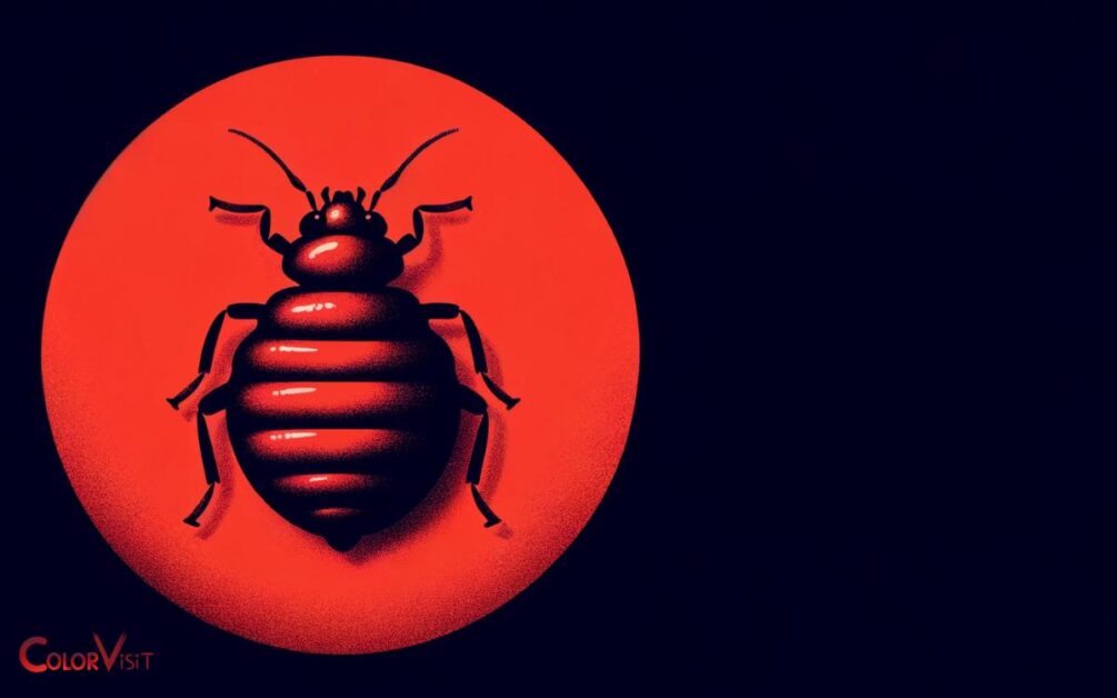 The Red Hue Of Bed Bugs
