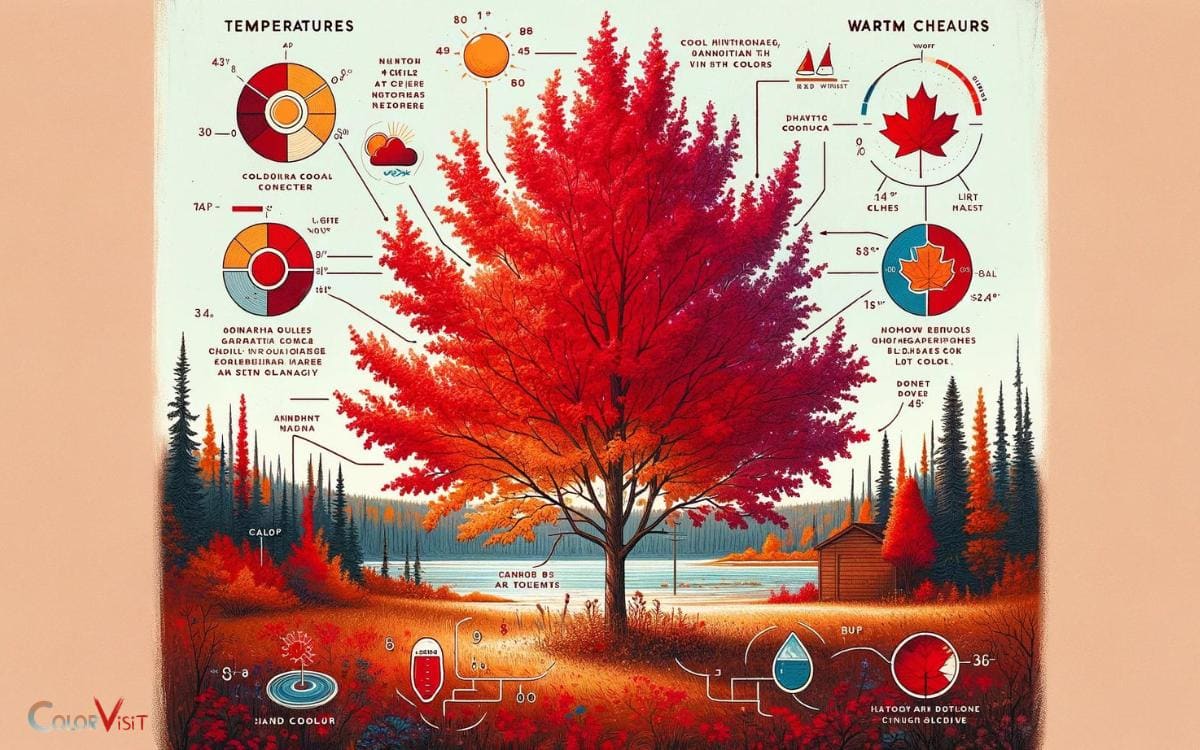 Factors Affecting Fall Color of Canada Red Chokecherry