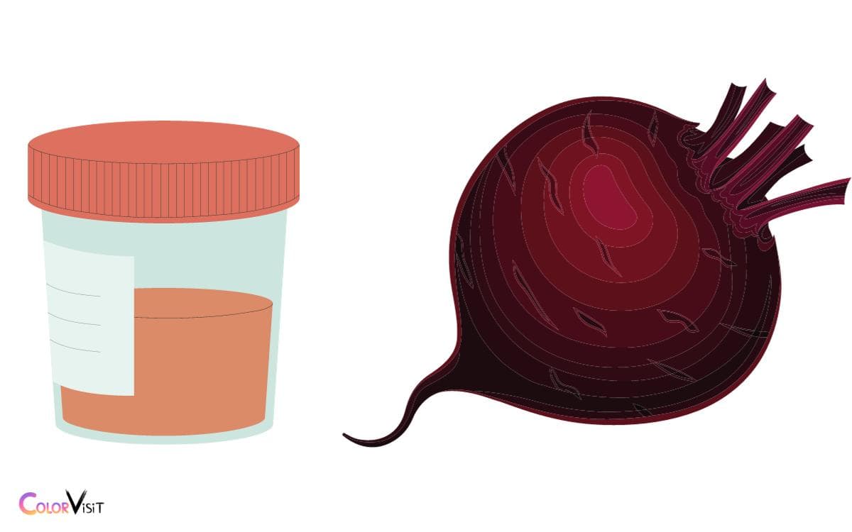 Tips for Enjoying Beets Without Surprise Urine Color