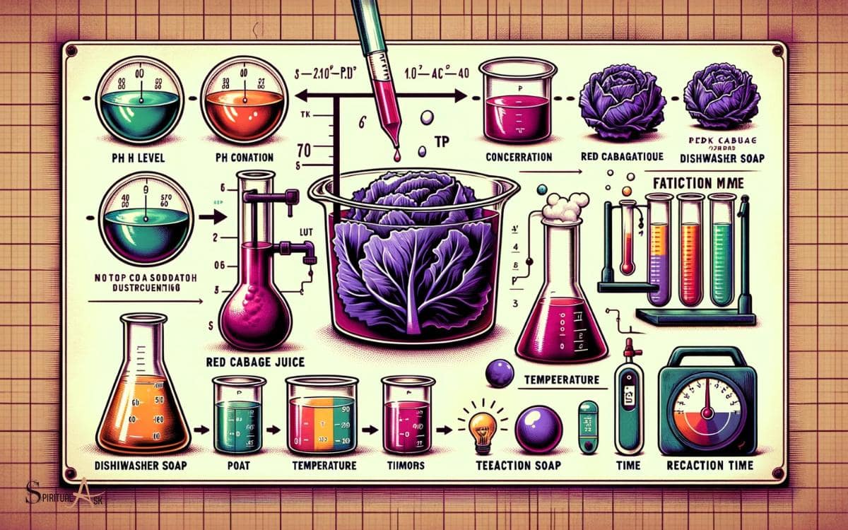 Factors Affecting the Color Transformation