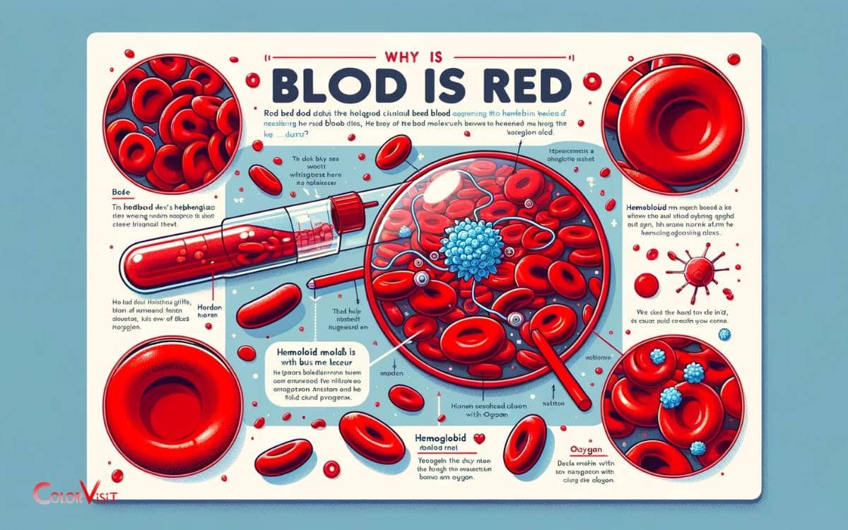 Fun Facts About the Color Red