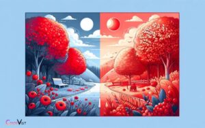 How Does Color Blind See Red