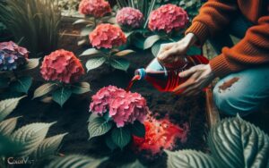 How to Change Hydrangea Color to Red