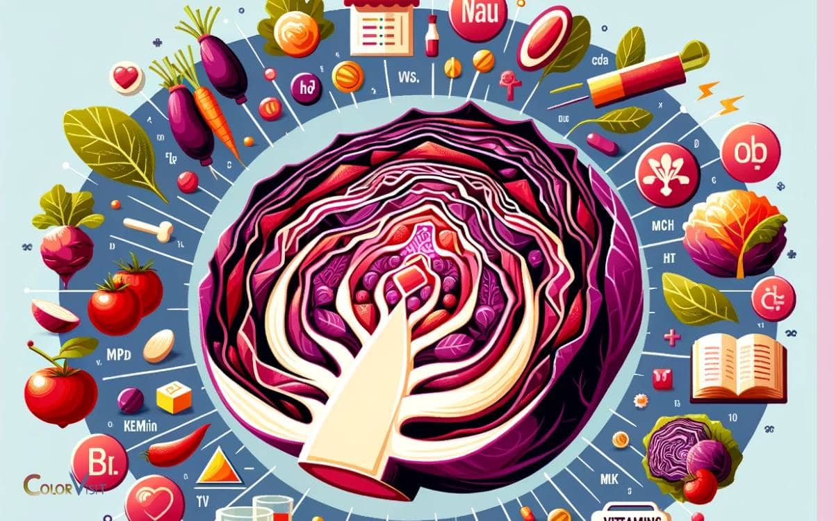 Nutritional Content of Red Cabbage