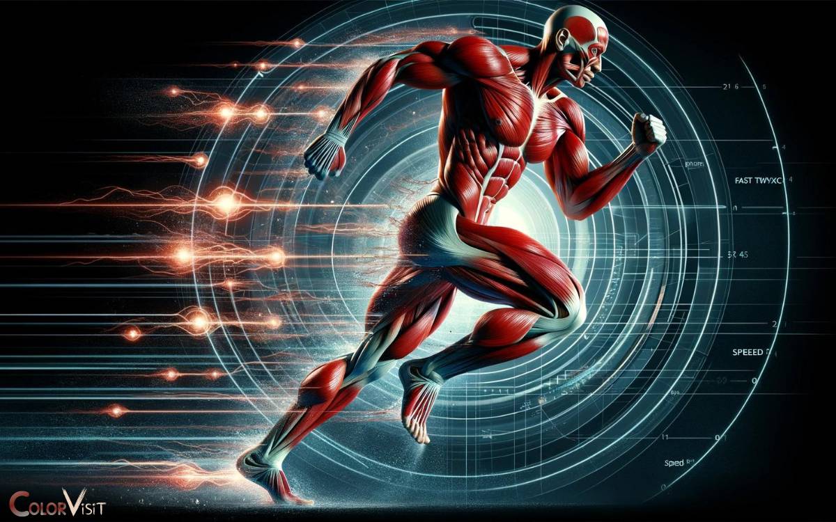 The Role of Red Coloration in Muscle Performance
