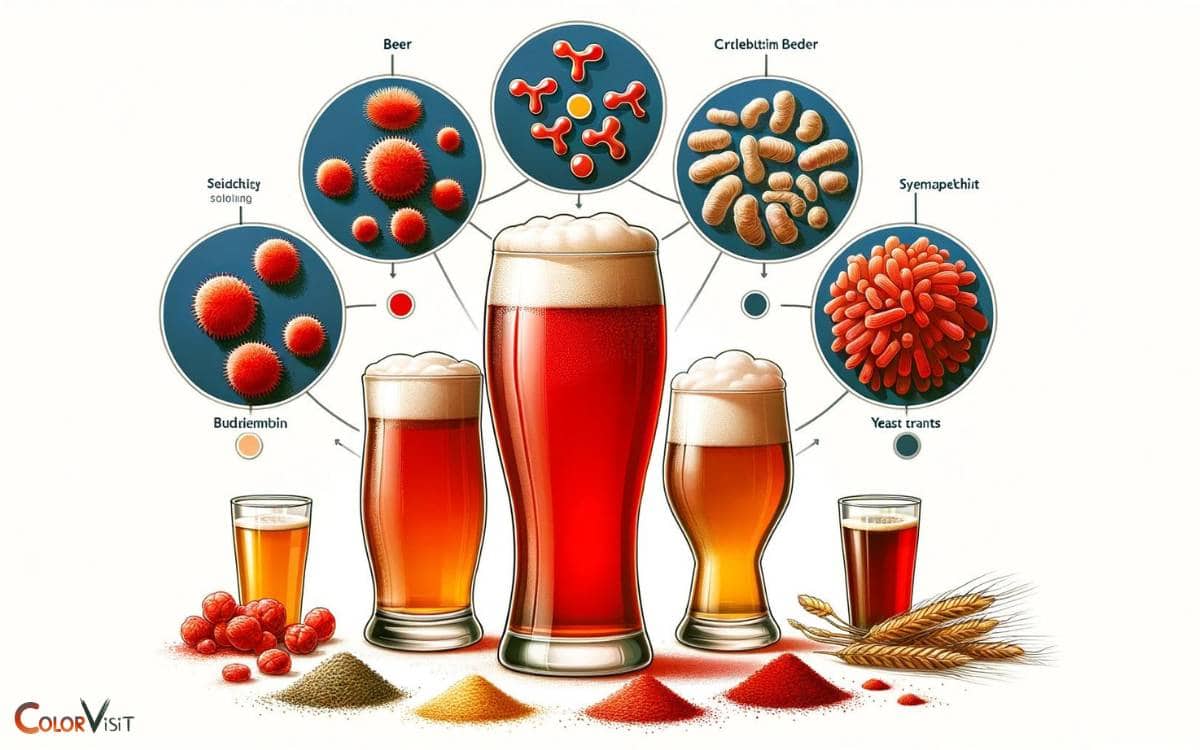 Understanding the Impact of Yeast Strains