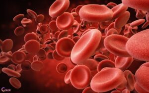 in Vertebrates Which Substance Gives Red Blood Cells Their Color