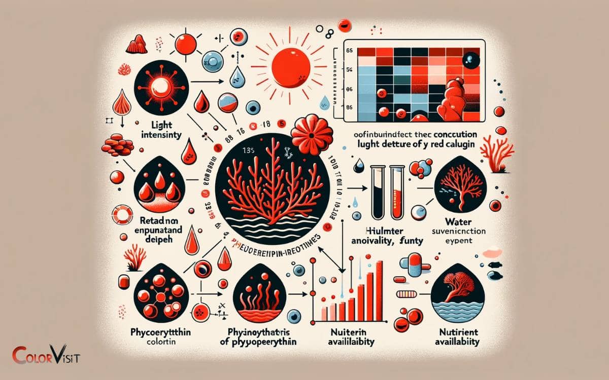 Factors Influencing Coloration