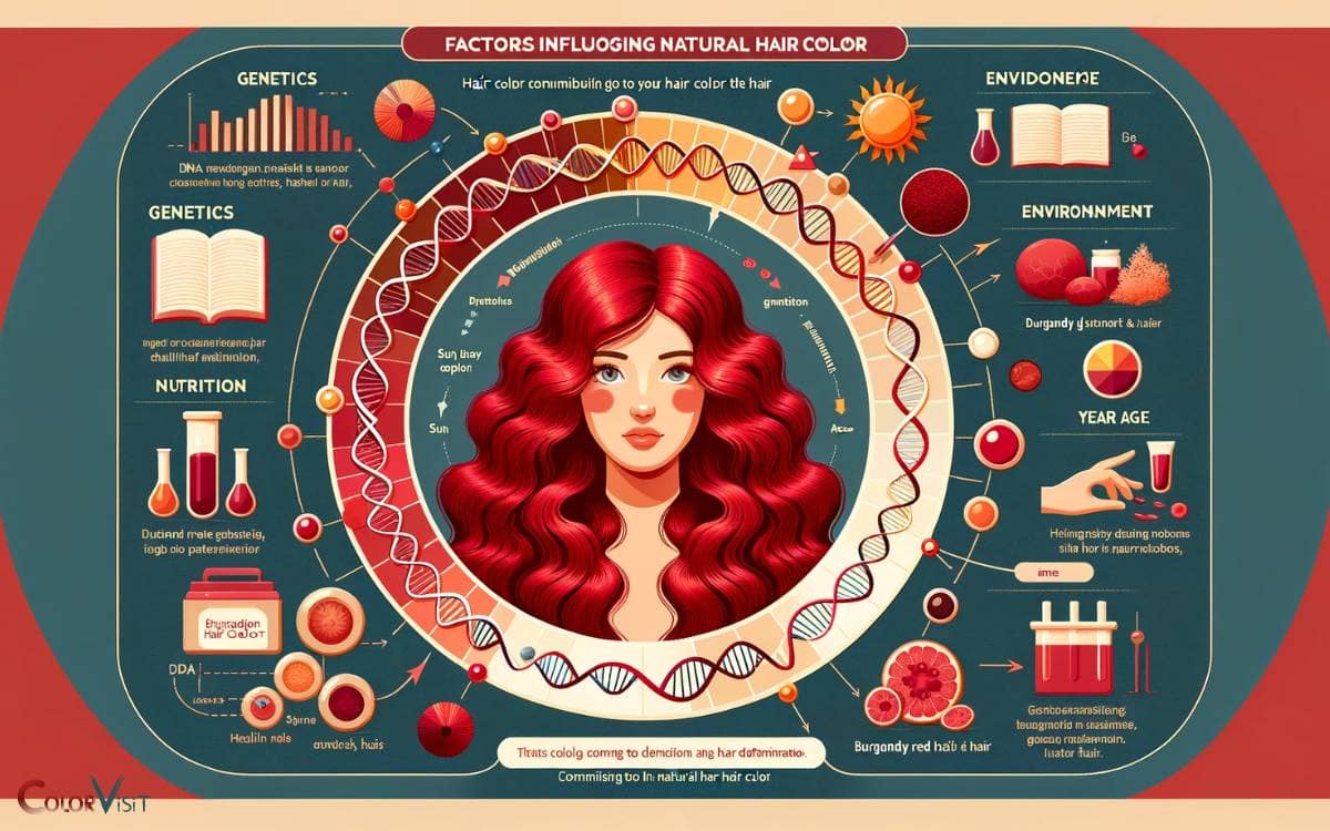 Factors Influencing Natural Hair Color