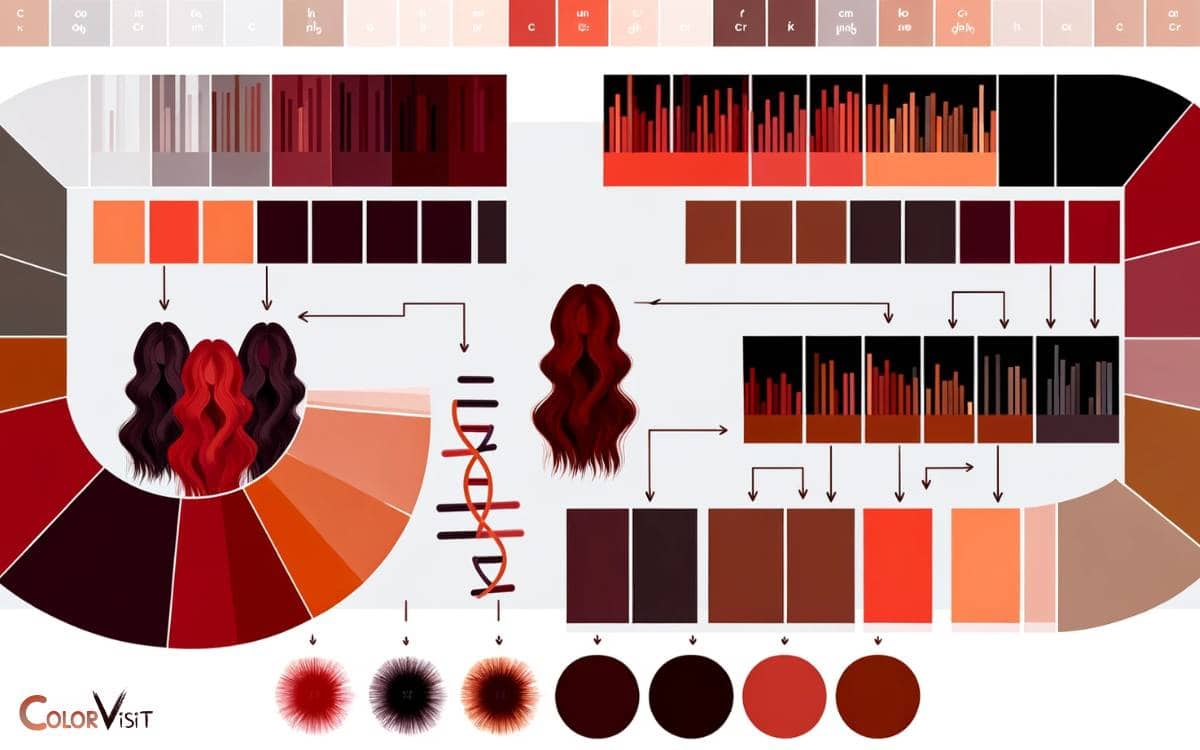 Genetic Factors and Dark Red Hair