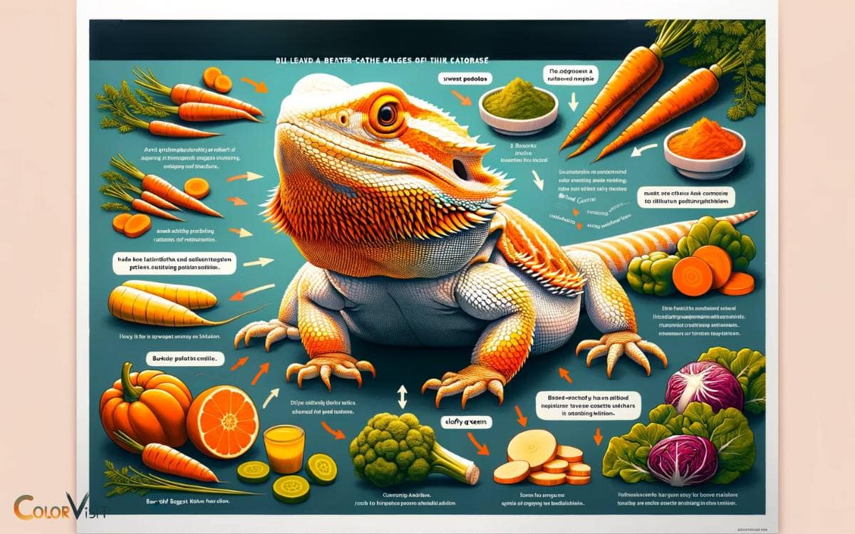 The Role of Diet