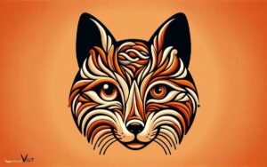 can cats see the color orange