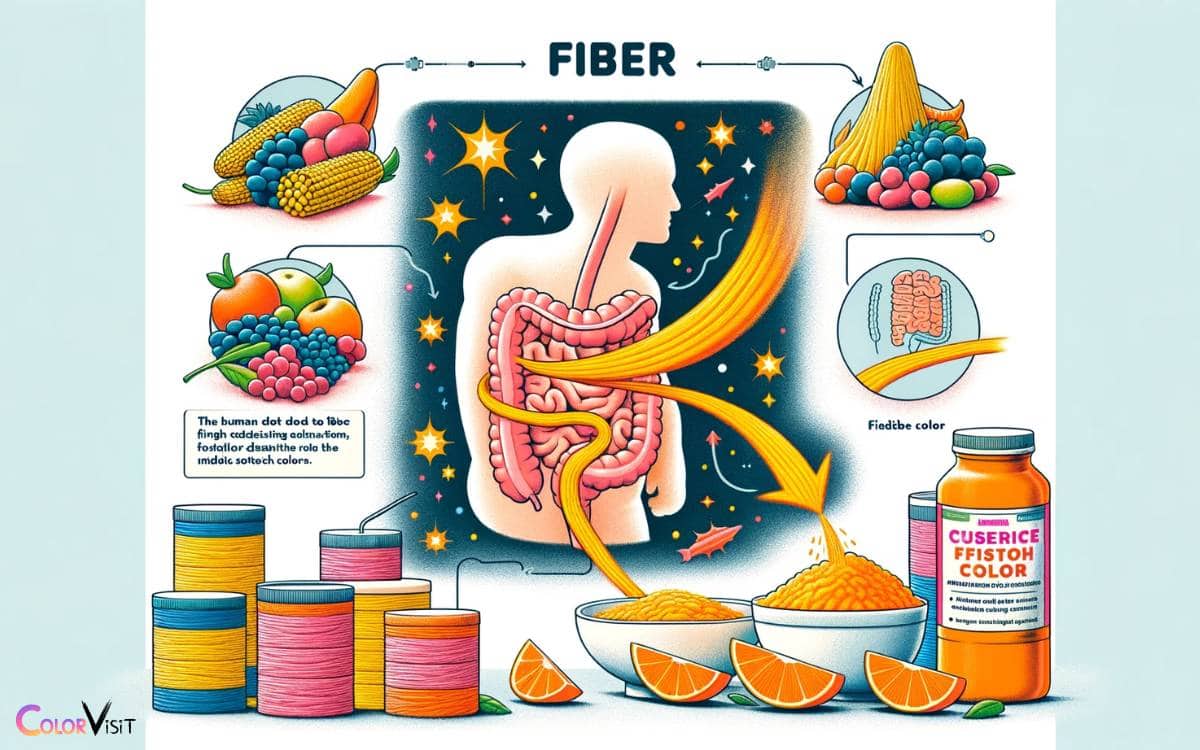 The Role of Fiber