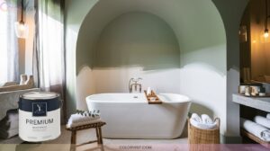 16 Rejuvenating Bathroom Paint Color Ideas for a Spa Experience