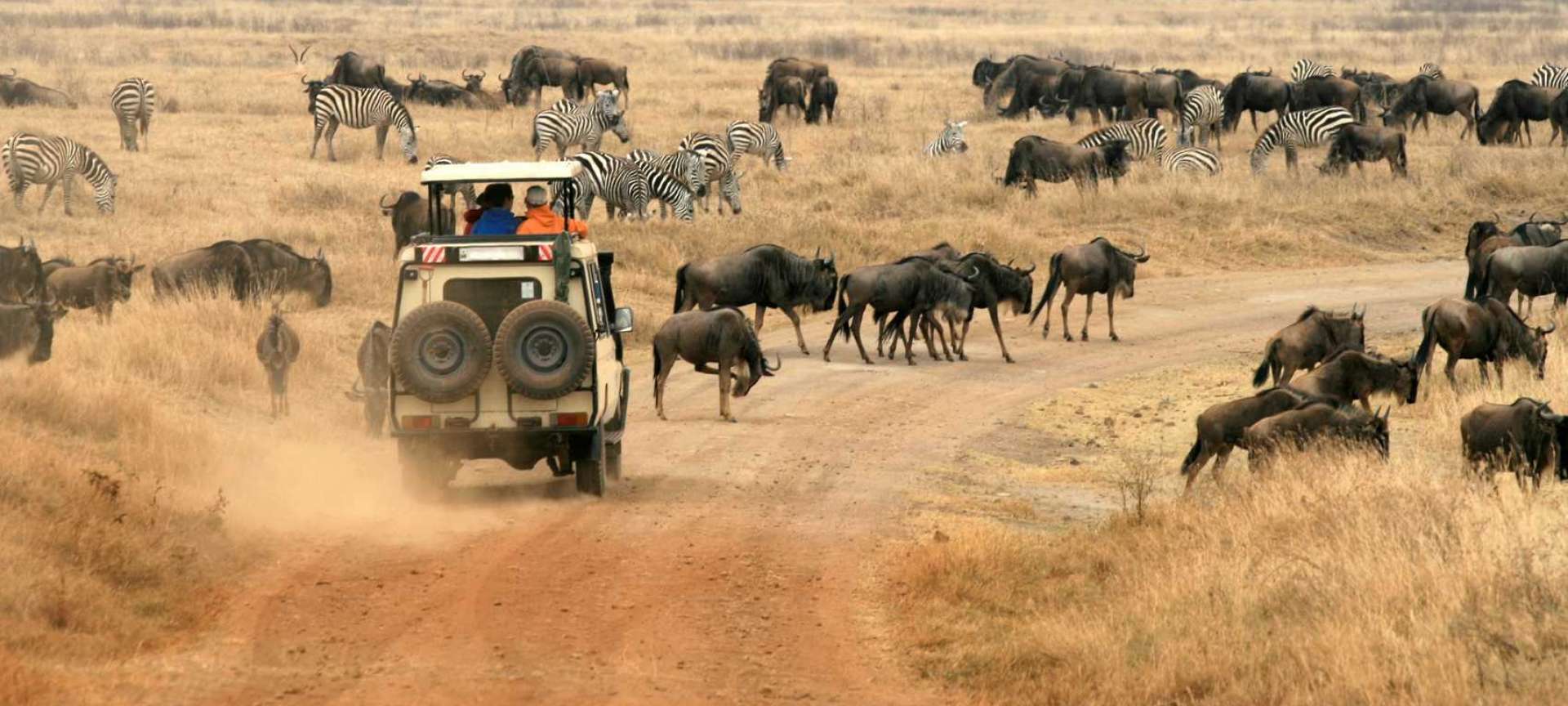 Game Drive during the Wildebeest Migration