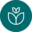 debloemist.nl Icon