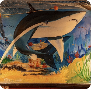 Colorful mural of a shark in San Blas with coral and seaweed.