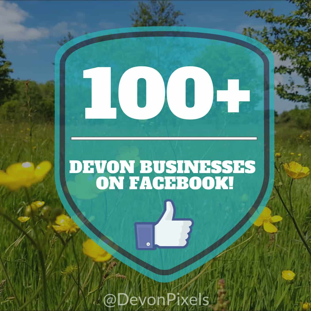 100 Devon Businesses on facebook