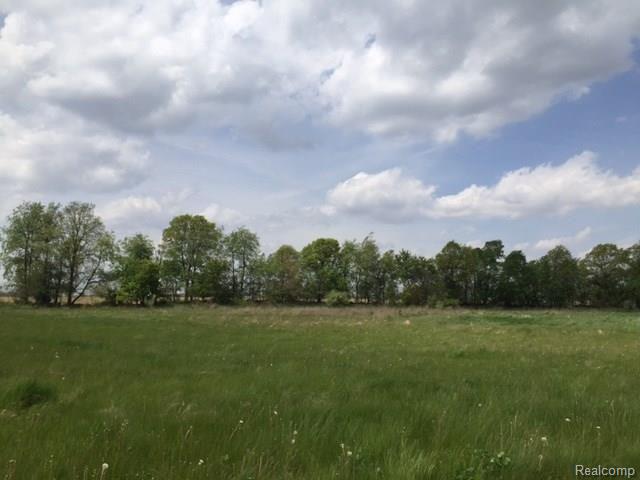 Property photo for 0 ADELINES (Lot 20) Way, Fowlerville, MI 48836