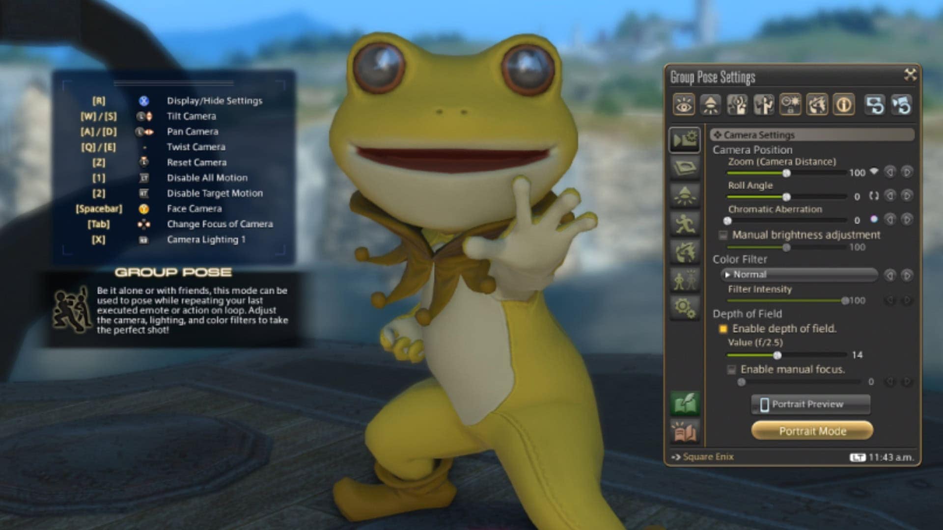 Final Fantasy 14 Group Pose mode Frog
