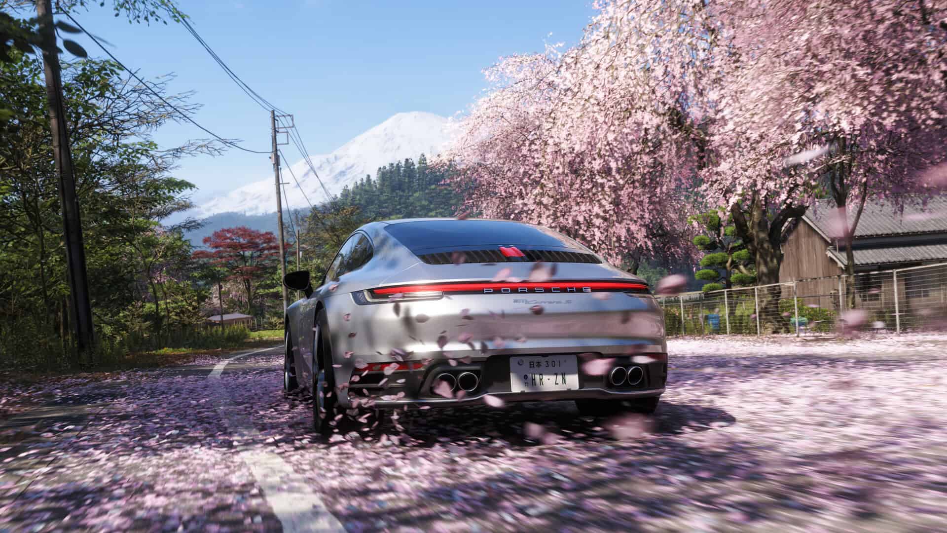 Forza Horizon 6 accessories