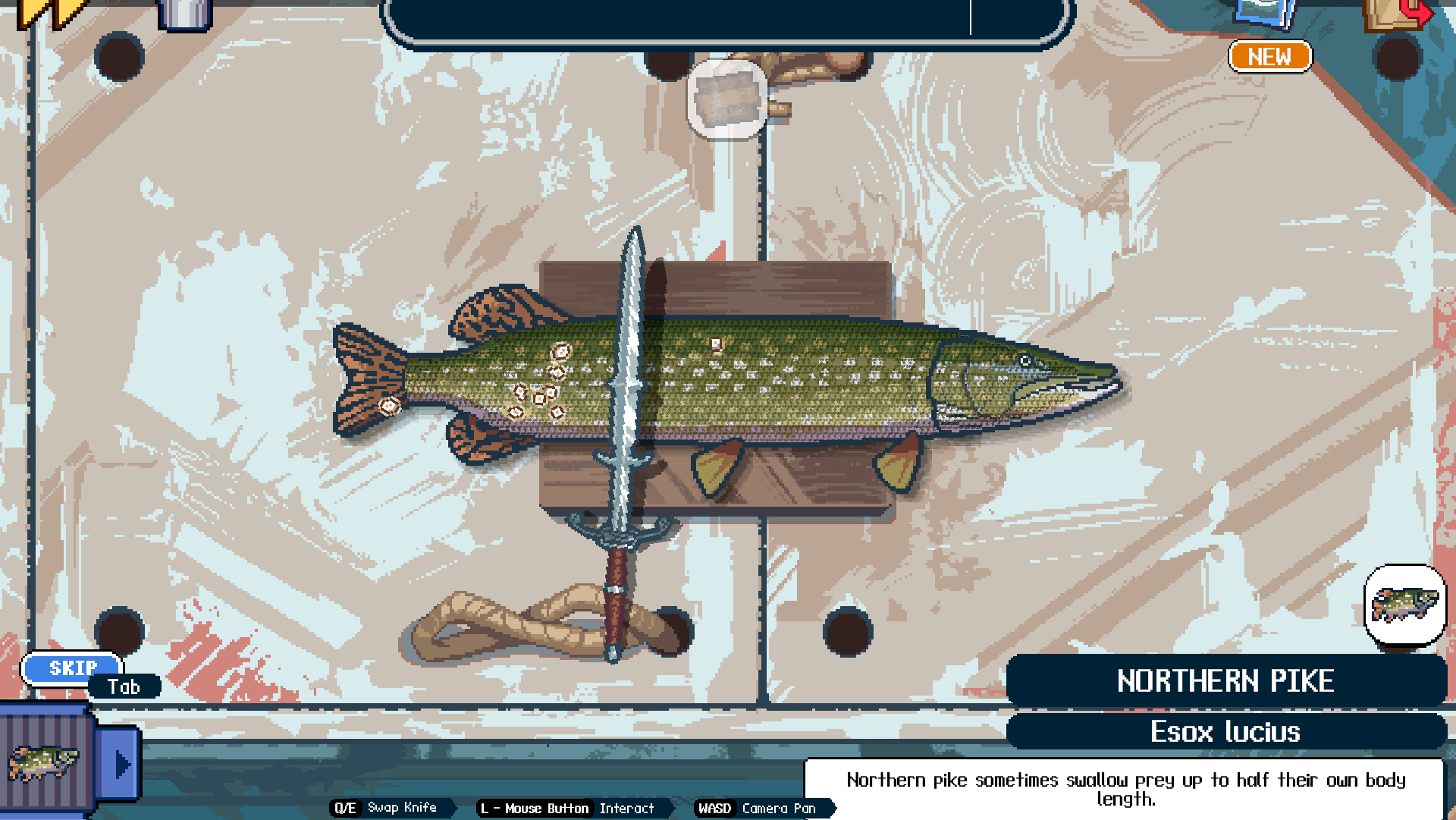 descaling a fish