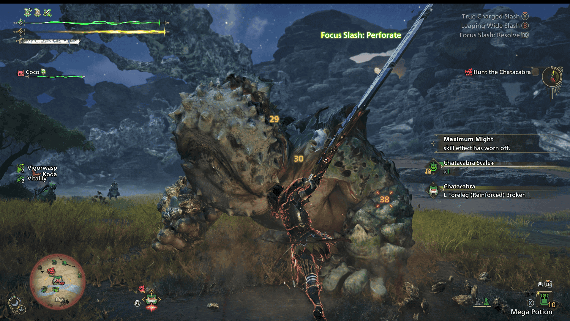Screenshot from Monster Hunter Wilds showing a female hunter clad in golden armor and wielding a greatsword attacking a Chatacabra, a frog-like monster.