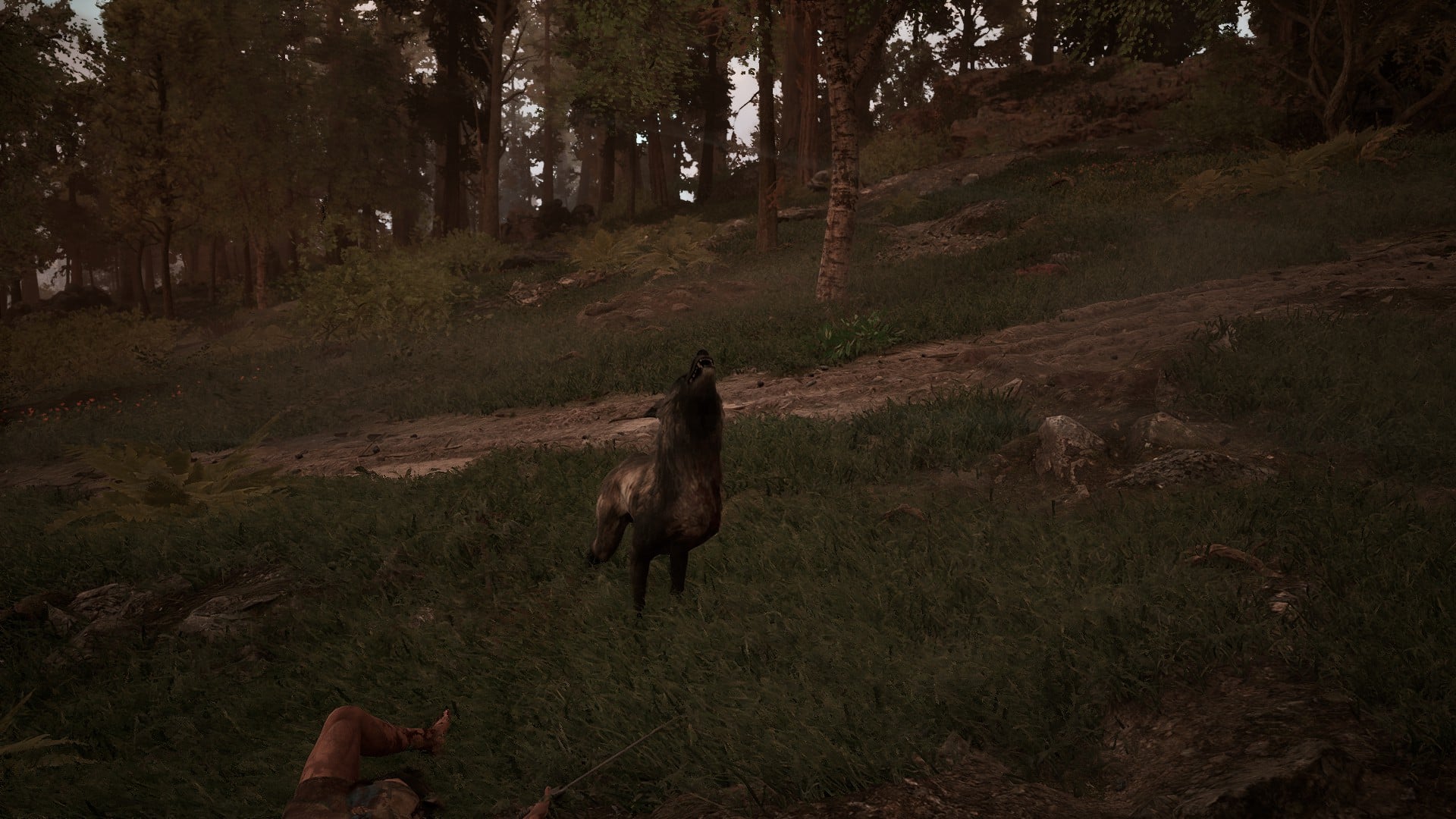 A wolf howling over a dead player in Gothic 1 Remake