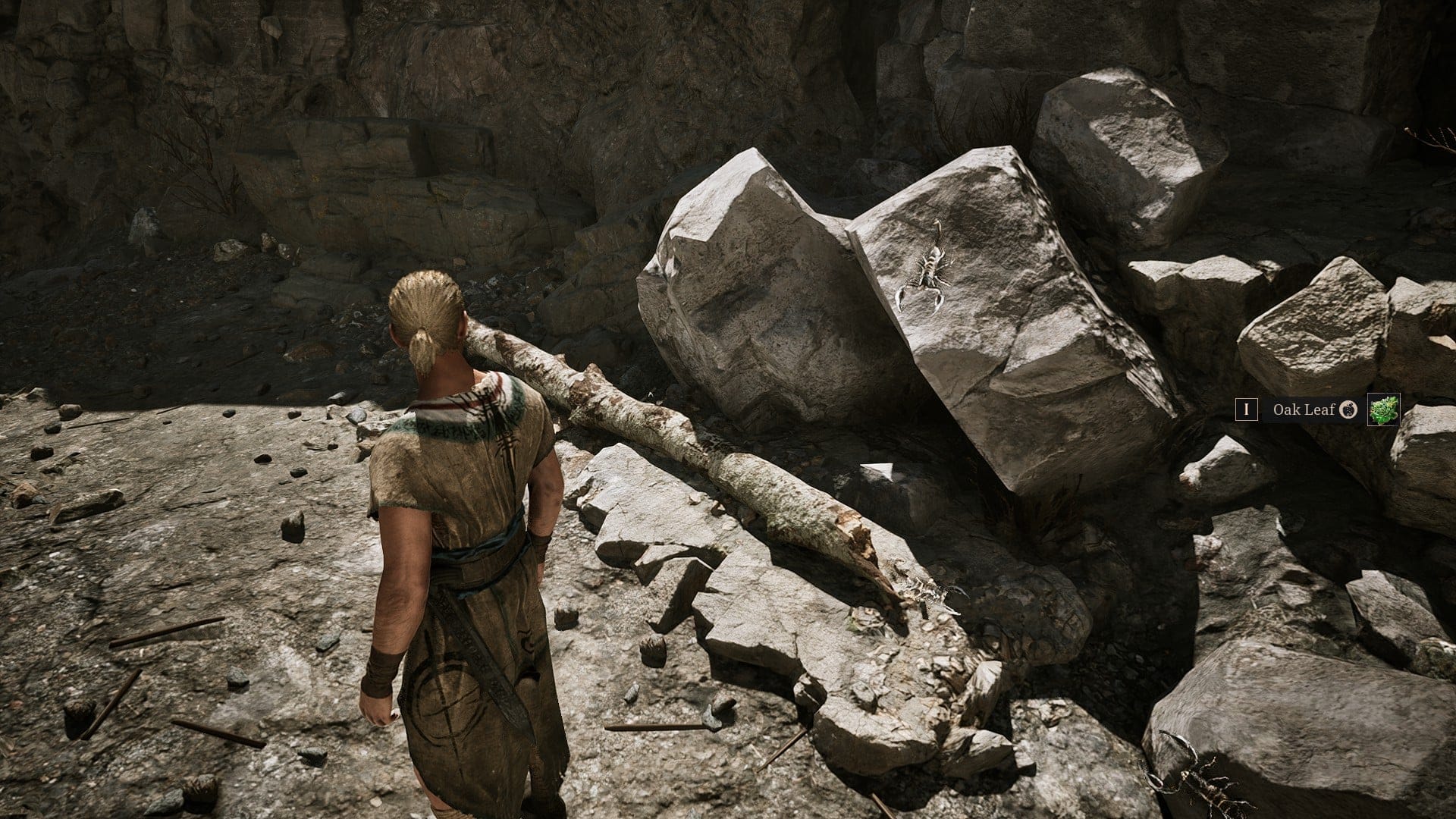 Scorpions crawling up rocks in Gothic Remake
