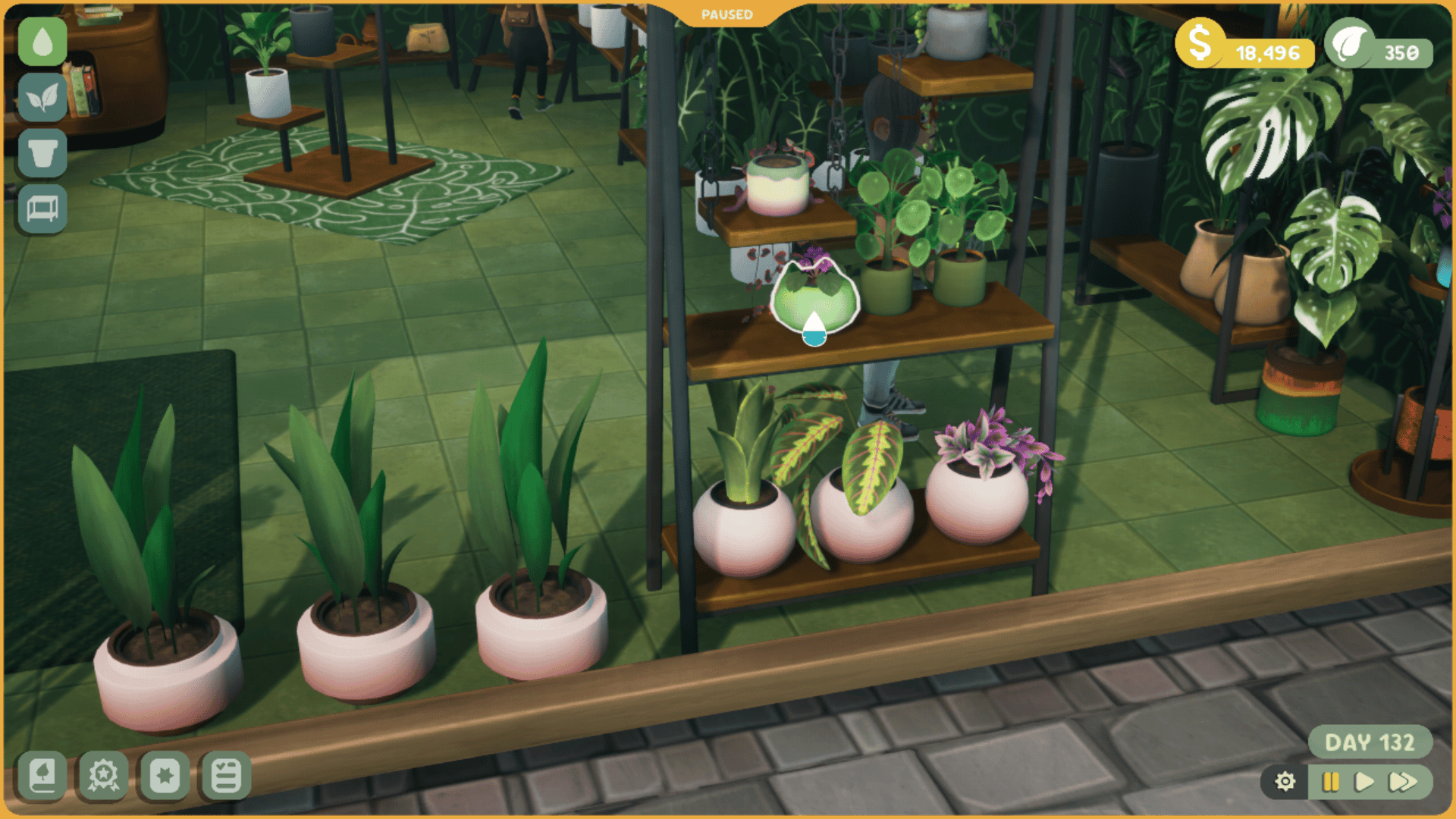 A cutaway view of a plant store. The cursor has become a water droplet where the portion of blue coloring indicates whether the plant has been recently or properly watered.