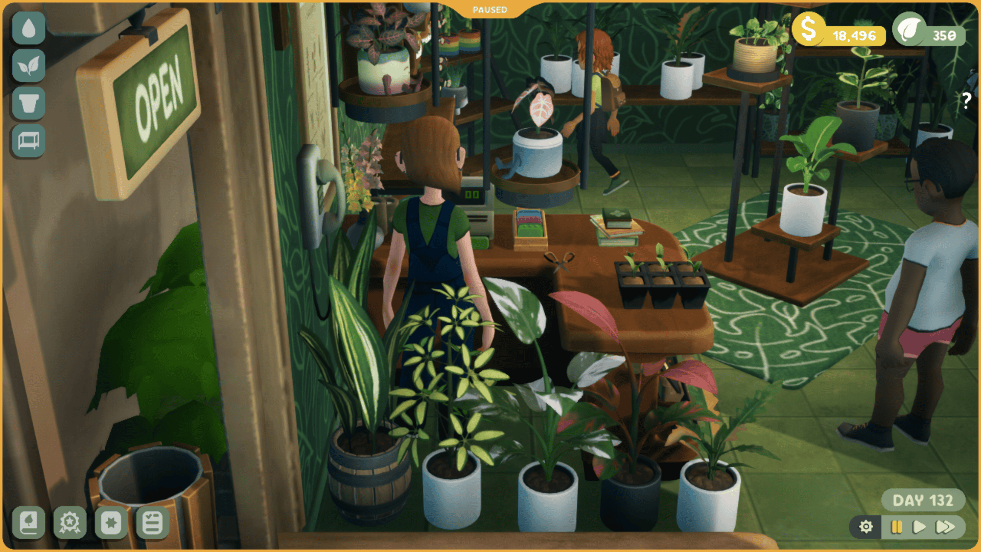 A cutaway view of a plant shop. We are viewing the register from behind, and behind the counter, next to the front window are several medium plants, all with variegated leaves.