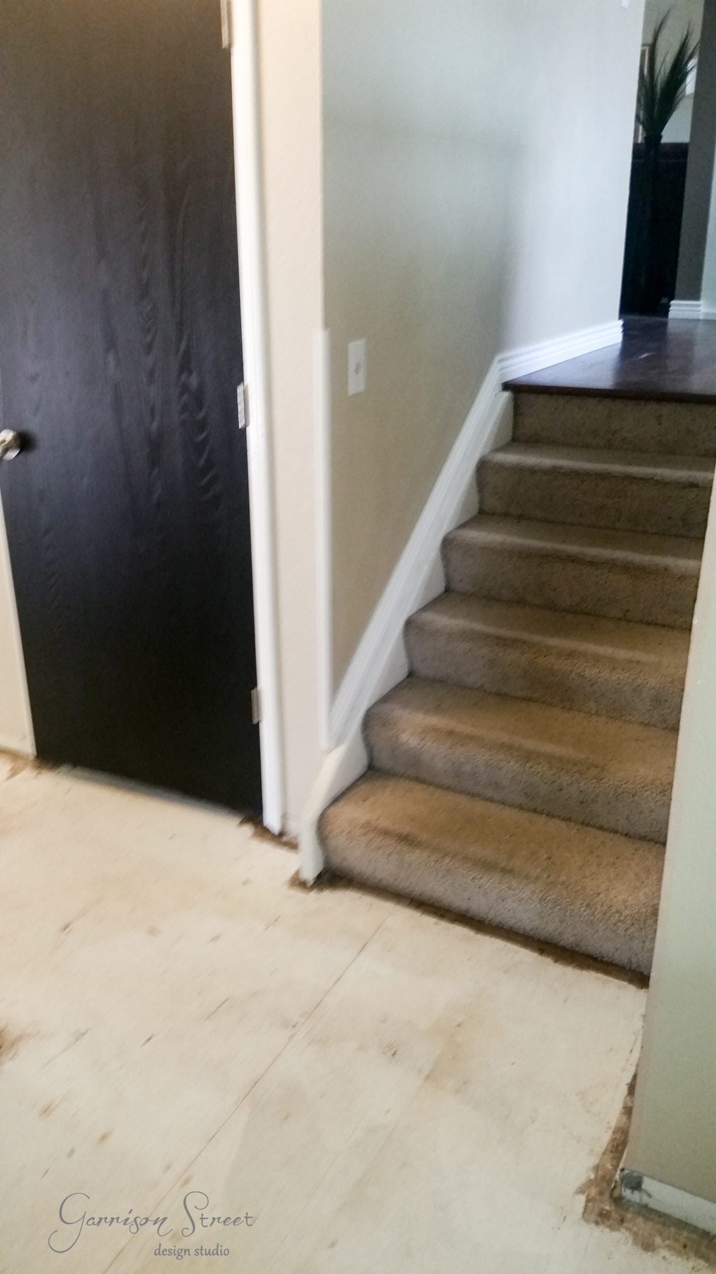 A partially renovated hallway shows an exposed subfloor next to a carpeted staircase leading upward. A black door is on the left, and a tall plant is visible at the top of the stairs.