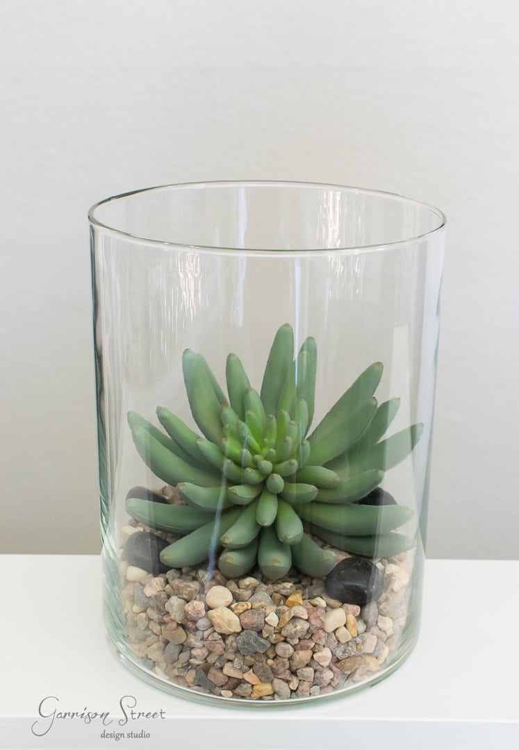 A green succulent plant in a clear glass vase, placed on a bed of small pebbles and a few black stones. The vase is situated on a white surface against a neutral background.