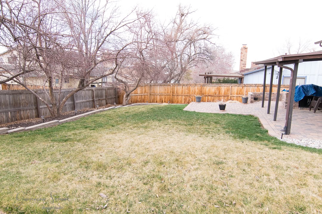 A backyard with a mix of brown and green grass, bordered by a wooden fence. Leafless trees and a brick patio are visible, along with a covered barbecue area on the right.