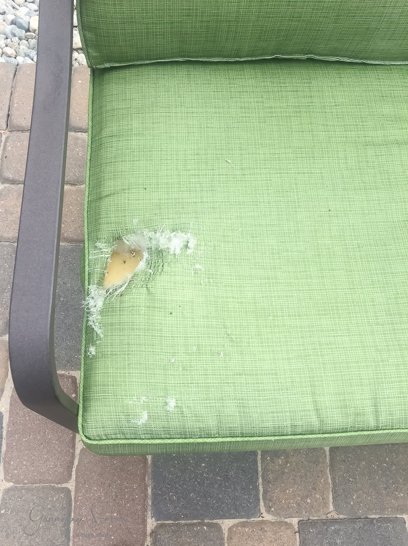 A green outdoor cushion on a patio chair has a tear on the left side, revealing stuffing inside. The cushion rests on a brick-paved patio.