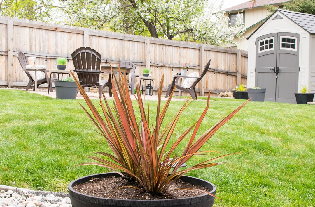A vibrant potted plant with long, spiky green and red leaves graces the patio in the foreground. In the background, a well-maintained backyard unfolds, featuring a grassy lawn, wooden fence, patio chairs, more potted plants, and a charming garden shed.