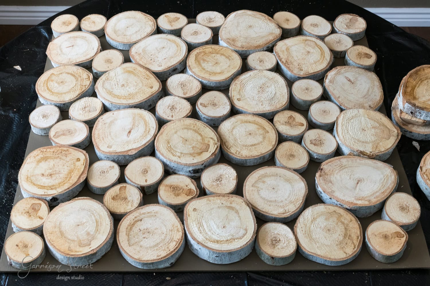 A collection of circular wooden slices, resembling small logs, is arranged on a flat surface, displaying distinct growth rings. The wood pieces have a light natural color with bark edges visible, all placed against a dark background.