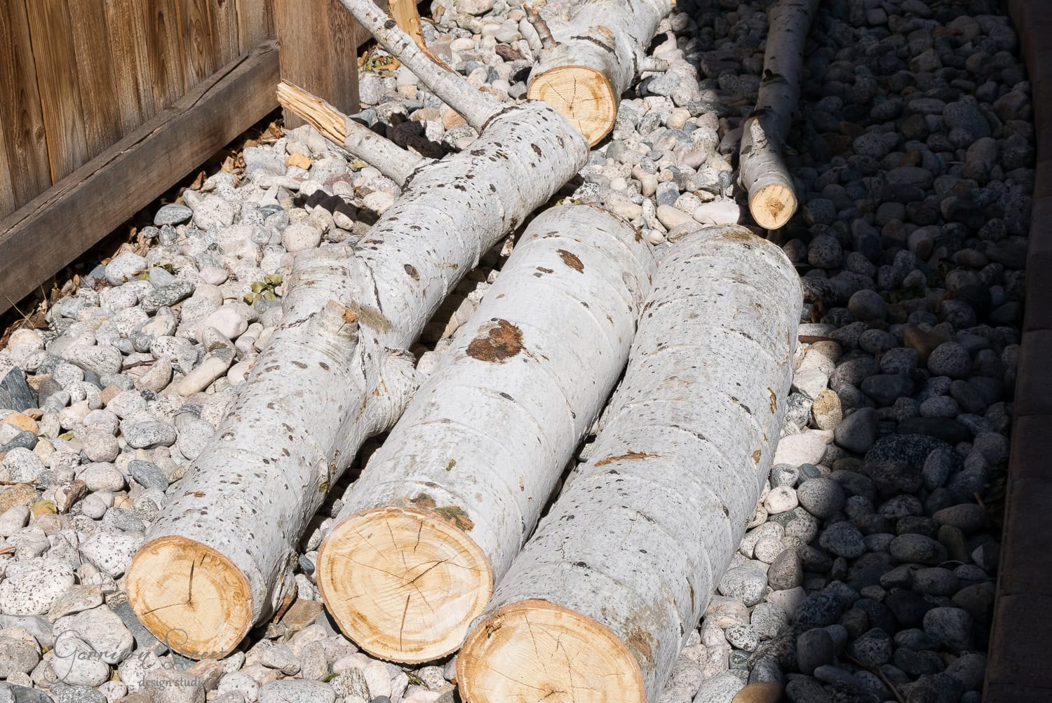 Cut logs of birch trees, perfect for a fireplace insert, lie on a bed of small gray stones beside a wooden fence. The light bark with dark markings is beautifully highlighted by the interplay of sunlight and shadow.