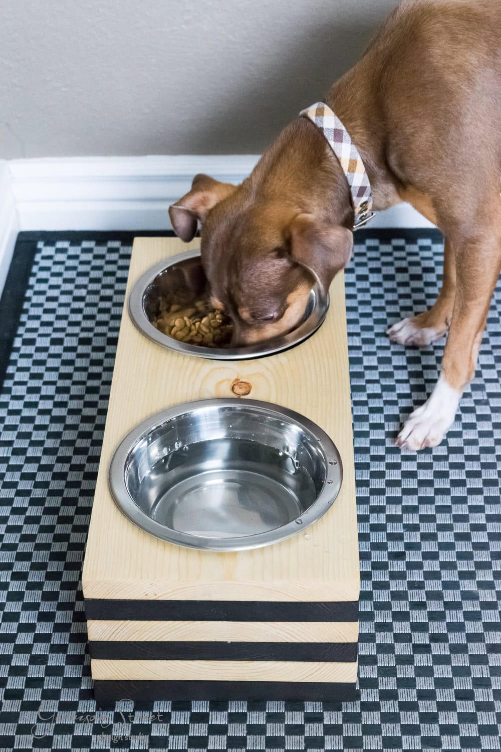 A brown dog with a checkered collar eagerly eats from a raised metal bowl on a wooden stand. Another bowl filled with water sits beside it. The setup rests on a black and white checkered mat near a gray wall.