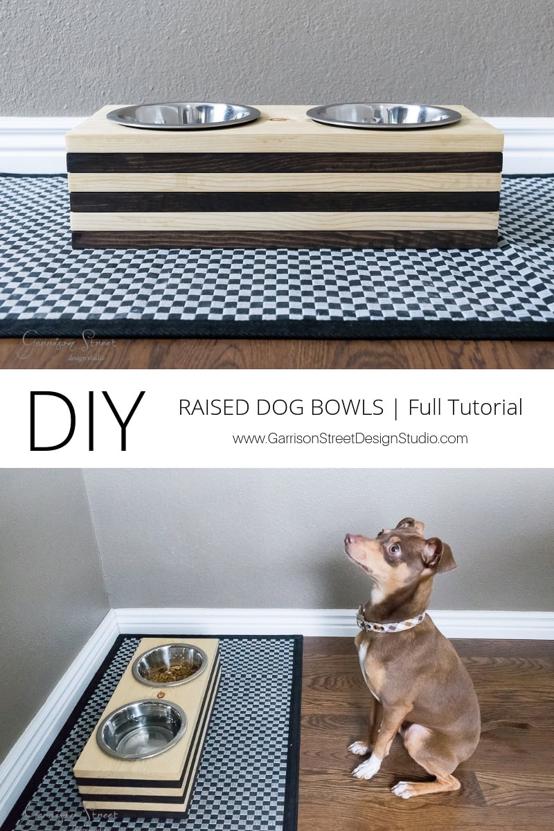 A raised dog bowl stand with two metal bowls rests on a black and white checkered mat in a corner. A small brown dog with a collar looks upward, sitting beside the raised stand. Text reads "DIY RAISED DOG BOWLS | Full Tutorial.
