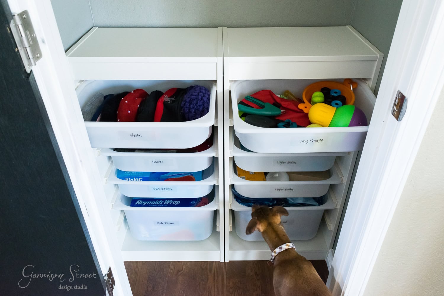 A small dog curiously peers into a meticulously organized closet featuring TROFAST pull-out bins labeled for hats, scarves, wrapping paper, dog stuff, light bulbs, and extension cords. These bins are neatly arranged on two shelves, exemplifying expert organization.