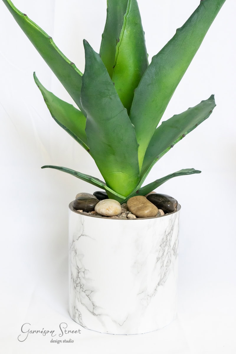 A green succulent with pointed leaves sits in a marble-patterned planter. The base is covered with small, smooth stones, while the background remains white.